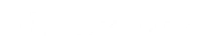 Shopify Partner